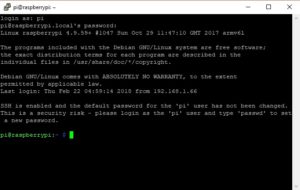 Raspberry Pi Zero W SSH screen