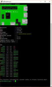 Using pinout to view GPIO pins