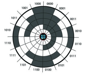 absolute rotary encoder